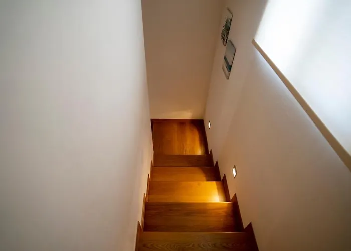 Palm Tree * Kakogkioni