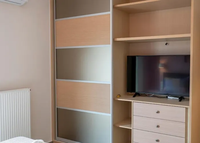 Palm Tree Kakogkioni